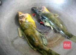 黄骨鱼红烧的做法图解4