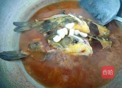 黄骨鱼红烧的做法图解8