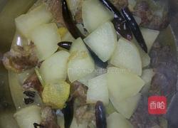 萝卜炖牛肉的做法图解4