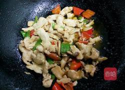 炒鸡肉的做法图解8