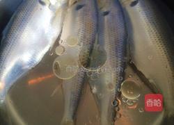 鲫鱼雪梨汤的做法图解4