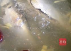 鲫鱼雪梨汤的做法图解6