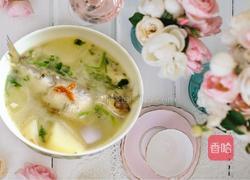 鲫鱼雪梨汤的做法图解11