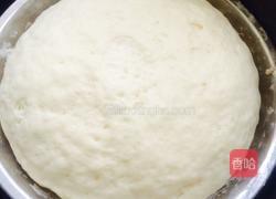 牛奶花馒头的做法图解5