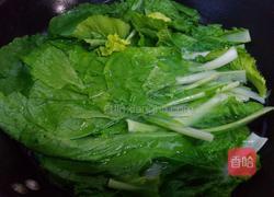 青菜钵的做法图解4