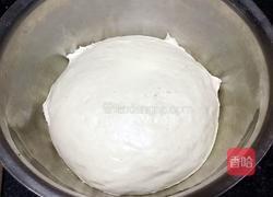 豆沙包的做法图解3