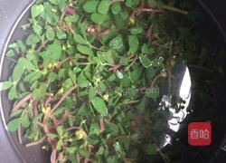 马齿苋绿豆薏仁汤的做法图解6