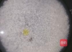 咖喱鸡饭的做法图解1