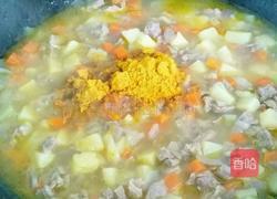 胡萝卜土豆炖牛肉的做法图解7