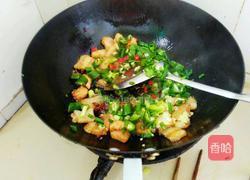 猪肉炖粉条的做法图解5