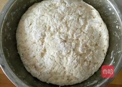 菜肉包子的做法图解6