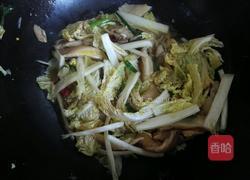白菜炒鲜蘑的做法图解6