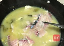 酸菜鱼的做法图解9