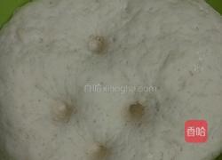 萝卜猪肉包子的做法图解5