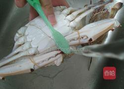 炒蟹的做法图解2