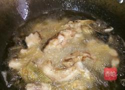 番茄烧鱼的做法图解5