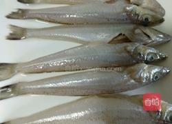 香辣茄汁沙丁鱼的做法图解1