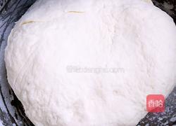 香菇肉馅饺子的做法图解5