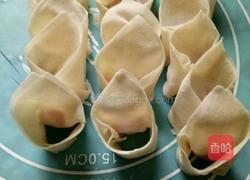 紫菜馄饨的做法图解6