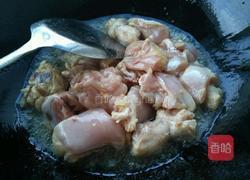 红烧鸡肉土豆的做法图解8