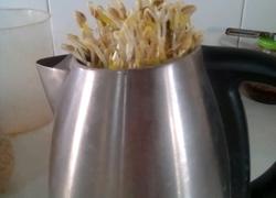 发豆芽