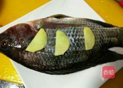 罗非鱼汤的做法图解1