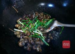 红烧螺丝的做法图解8