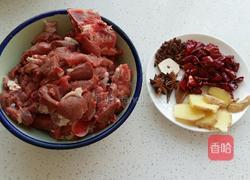 香辣炖羊肉的做法图解1