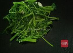 蒜蓉空心菜的做法图解6