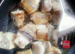 香辣鳕鱼炖豆腐的做法图解4