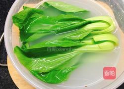 青菜汁的做法图解2
