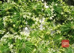 花生米韭菜花的做法图解3