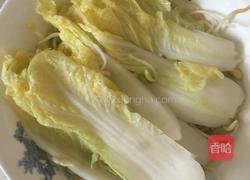 水煮鱼（微辣）的做法图解4
