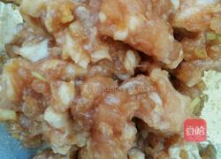 洋葱木耳水饺的做法图解3