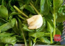 爆炒油菜的做法图解1