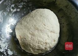 鲜肉小笼的做法图解3