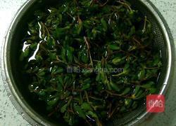 凉拌马齿菜的做法图解2