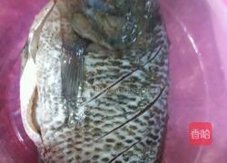 半煎煮罗非鱼的做法图解2