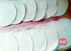黄瓜鸡蛋水饺的做法图解16