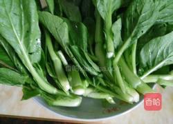 白焯菜心的做法图解1