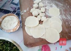 韭菜鸡蛋粉条饺子的做法图解2