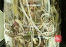 绿豆芽的做法图解7