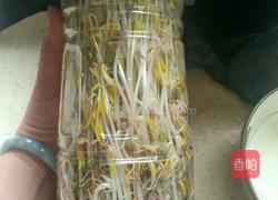 绿豆芽的做法图解9