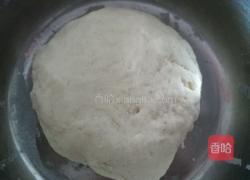 生煎包的做法图解3