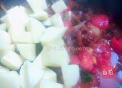 番茄土豆炖牛蹄肉的做法图解12