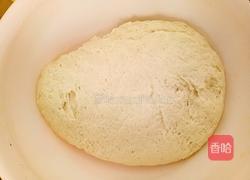 葱花大油饼（烫面）的做法图解1