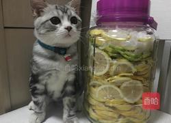 自制柠檬酵素的做法图解11