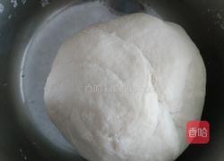 酸奶机发面的做法图解1