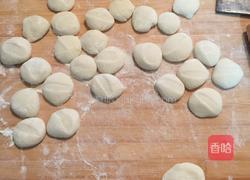 香菇猪肉虾仁饺子的做法图解9