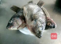 红烧罗非鱼的做法图解1